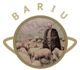 BARIU