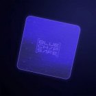 BLUE CHIP SAFE