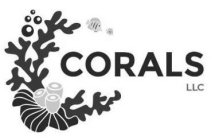 CORALS LLC