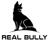 REAL BULLY