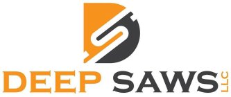 DS DEEP SAWS LLC