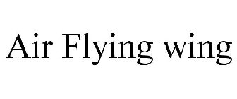 AIR FLYING WING