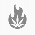 Image Trademark