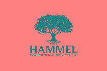 HAMMEL PSYCHOLOGICAL SERVICES, LLC