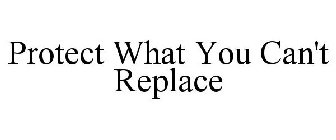 PROTECT WHAT YOU CAN'T REPLACE