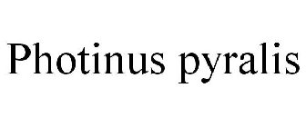 PHOTINUS PYRALIS