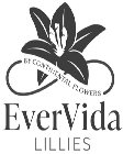 EVERVIDA LILLIES BY CONTINENTAL FLOWERS