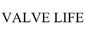 VALVE LIFE