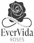 EVERVIDA ROSES BY CONTINENTAL FLOWERS