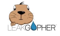 LEAKGOPHER