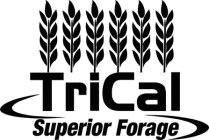 TRICAL SUPERIOR FORAGE