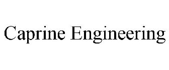 CAPRINE ENGINEERING