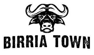 BIRRIA TOWN