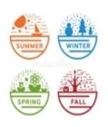 SUMMER WINTER SPRING FALL