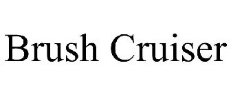 BRUSH CRUISER