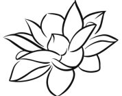 Image Trademark