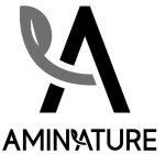 A AMINATURE