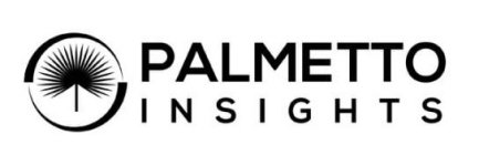PALMETTO INSIGHTS