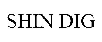 SHIN DIG