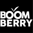 BOOM BERRY