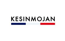 KESINMOJAN