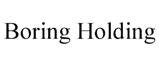 BORING HOLDING