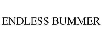 ENDLESS BUMMER