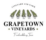 VINEYARD AND FARM GRAPETOWN ·  VINEYARDS · FREDERICKSBURG TEXAS