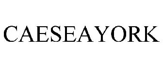 CAESEAYORK