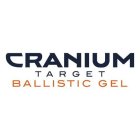 CRANIUM TARGET BALLISTIC GEL