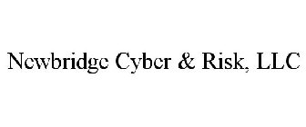 NEWBRIDGE CYBER & RISK, LLC