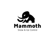 MAMMOTH SNOW & ICE CONTROL