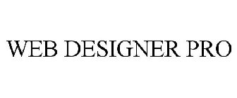 WEB DESIGNER PRO