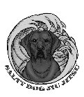 SALTY DOG JUI JITSU