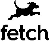 FETCH