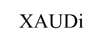 XAUDI