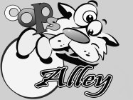 OOPS ALLEY