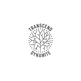 TRANSCEND DYNAMITE