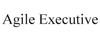 AGILE EXECUTIVE