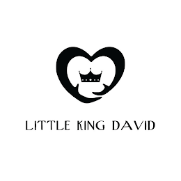 LITTLE KING DAVID