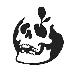 Image Trademark