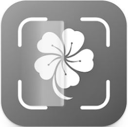 Image Trademark