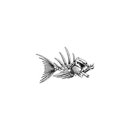 Image Trademark