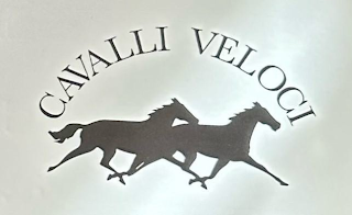 CAVALLI VELOCI