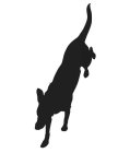 Image Trademark