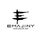 EMAJINY HAIR KOLOR ART E