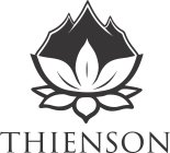 THIENSON