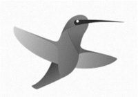 Image Trademark