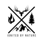 IGNITED BY NATURE