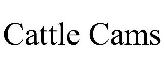 CATTLE CAMS